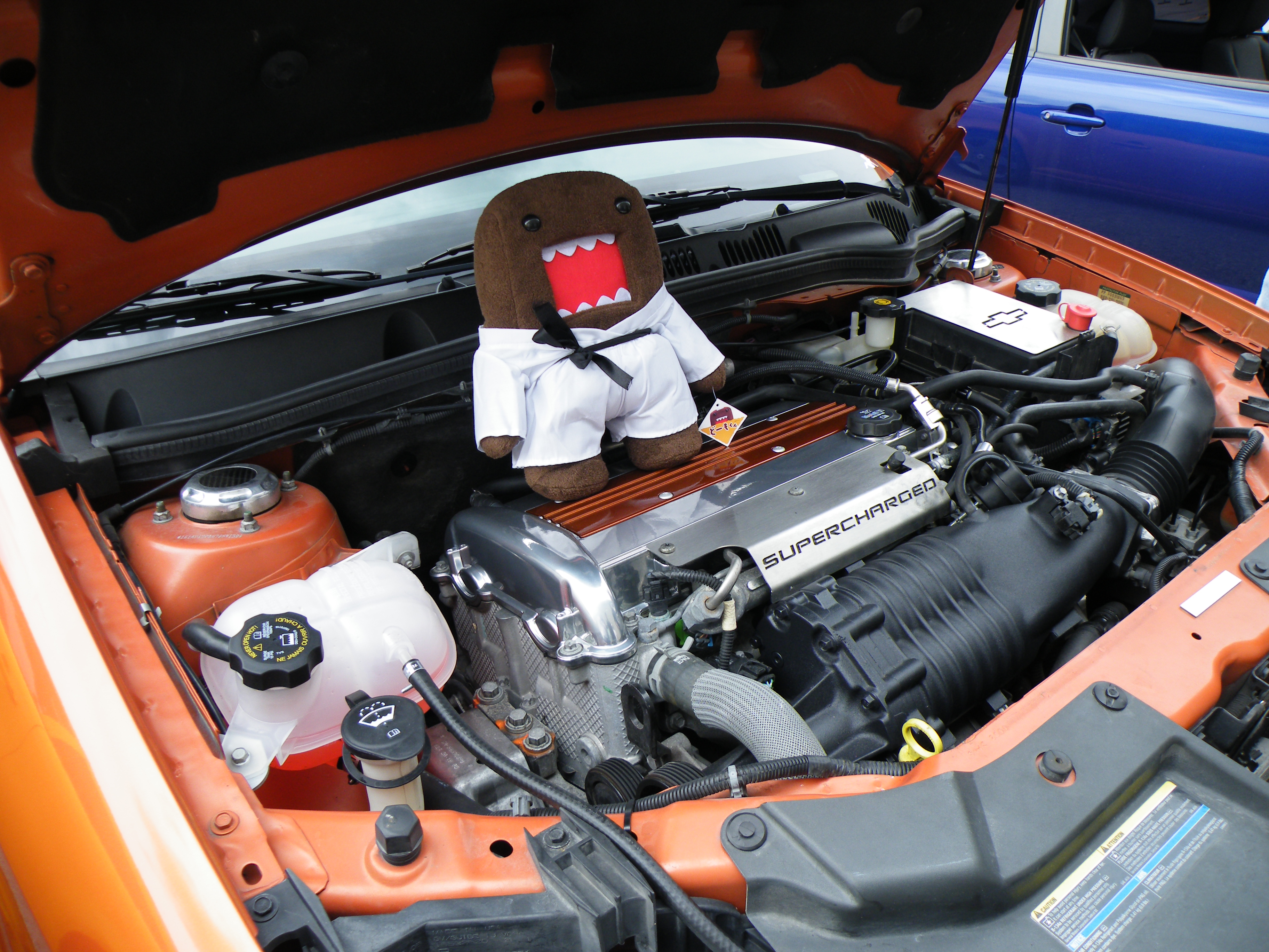 Name:  DSCF3831.jpg
Views: 380
Size:  3.61 MB