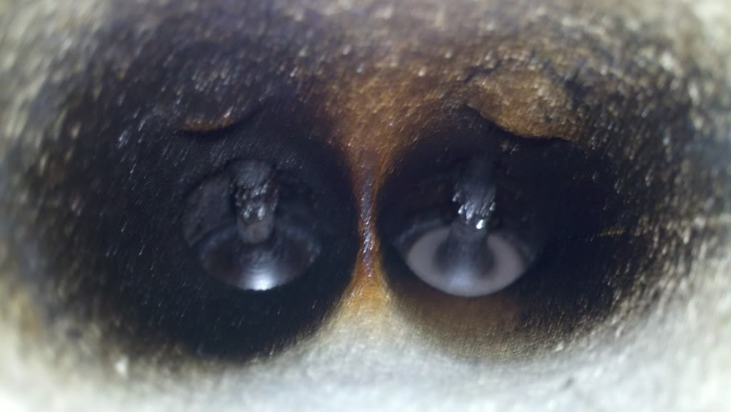 Name:  2013-07-16_19-48-29_775_zps5acf3be0.jpg
Views: 98
Size:  51.0 KB