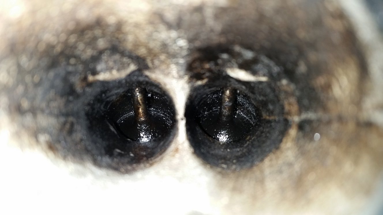 Name:  T69LwNF.jpg
Views: 449
Size:  99.3 KB