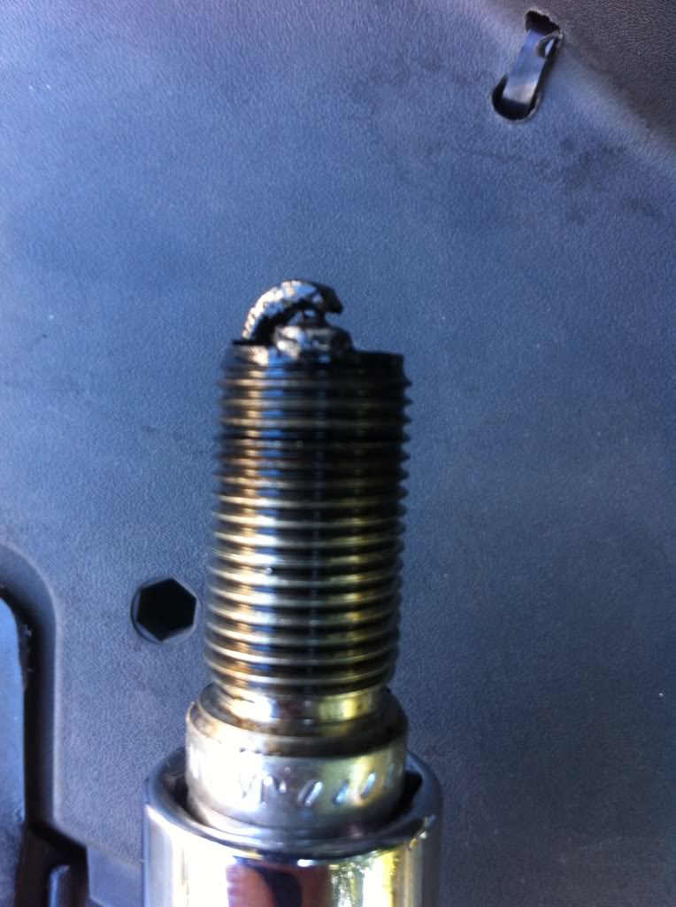Name: 208999B8-8C6F-42F2-B189-596315386524-10204-0000165DFF0B1369.jpg
Views: 118
Size: 93.8 KB