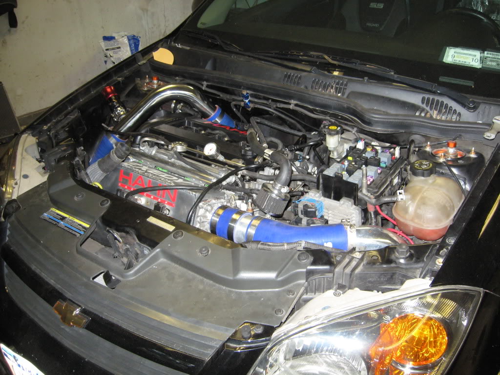 Name:  moreprogressalmostdone018.jpg
Views: 6062
Size:  174.5 KB