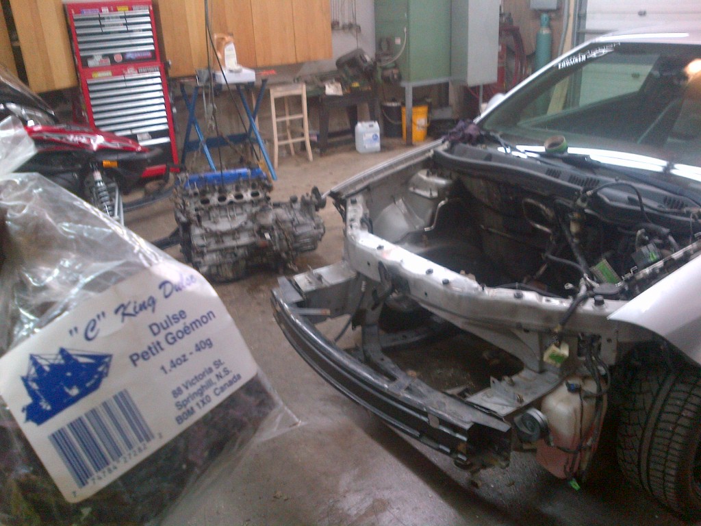 Name:  IMG-20130405-00182_zps9a55f885.jpg
Views: 78
Size:  194.7 KB