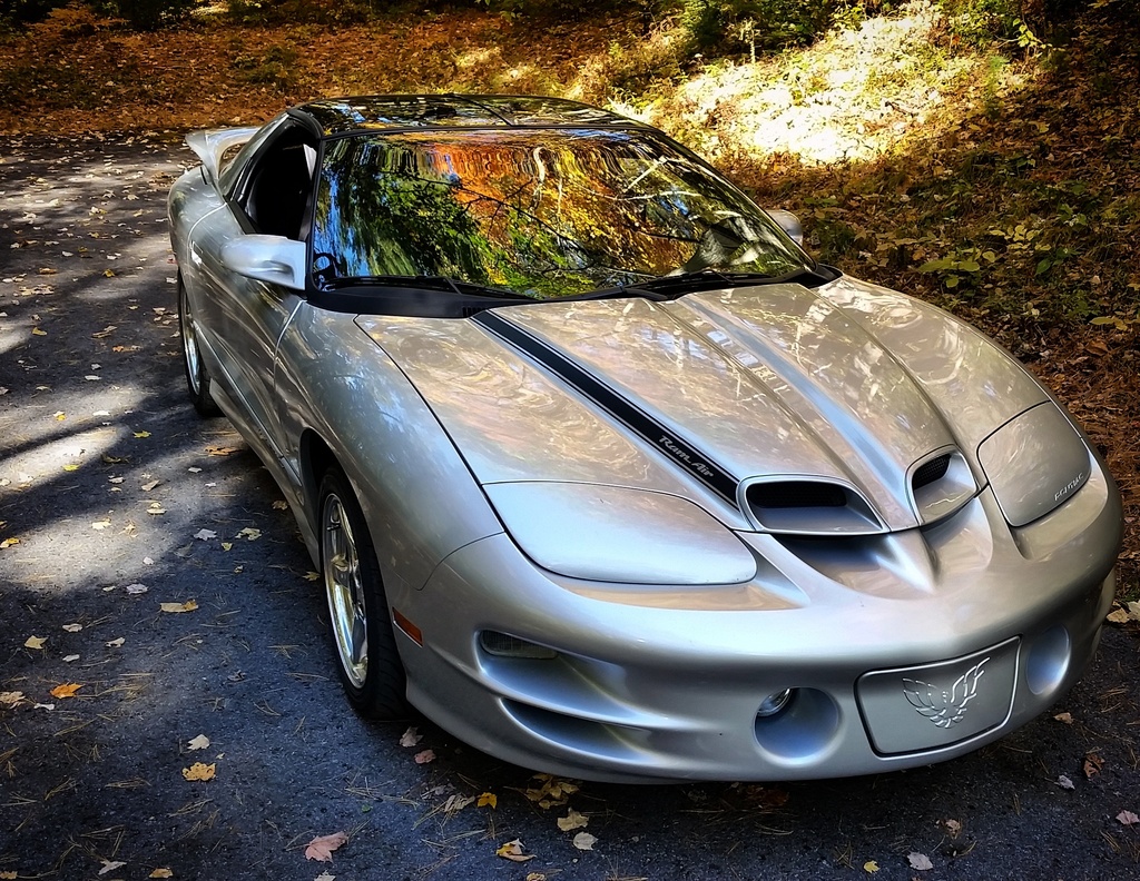 Name:  IMG_20151012_194021_zpsg5lfsosa.jpg
Views: 168
Size:  459.8 KB