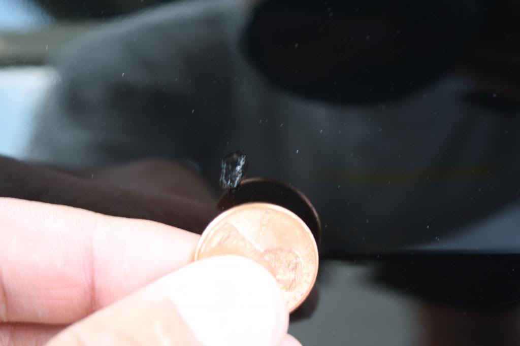 Name:  IMG_3777_zps1bbacdfb.jpg
Views: 7
Size:  25.3 KB