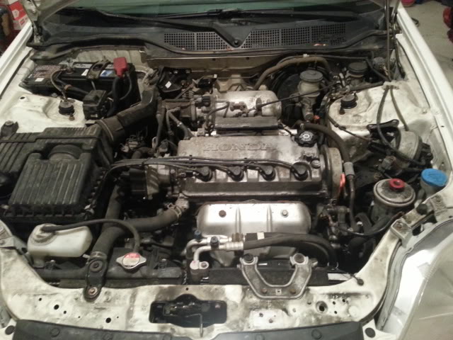 Name:  20130224_184043_zps712a5c8a.jpg
Views: 62
Size:  69.9 KB