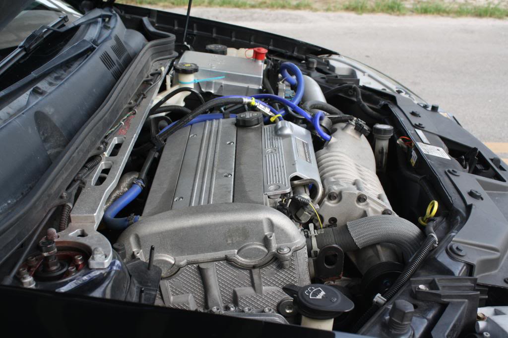 Name:  IMG_3787_zpsa35a8449.jpg
Views: 42
Size:  97.5 KB