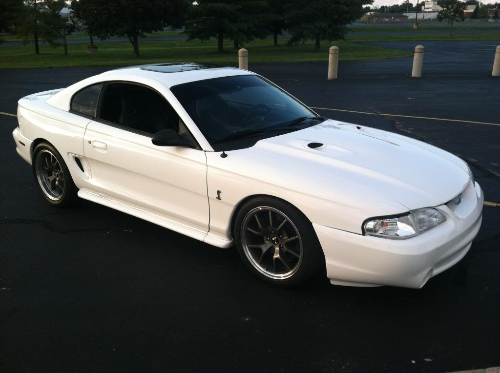 Name:  IMG_3726_zps8f20777f.jpg
Views: 71
Size:  64.1 KB