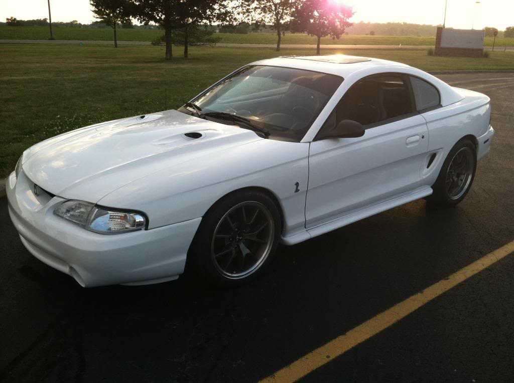 Name:  IMG_3727_zps0ee1e82c.jpg
Views: 75
Size:  72.6 KB