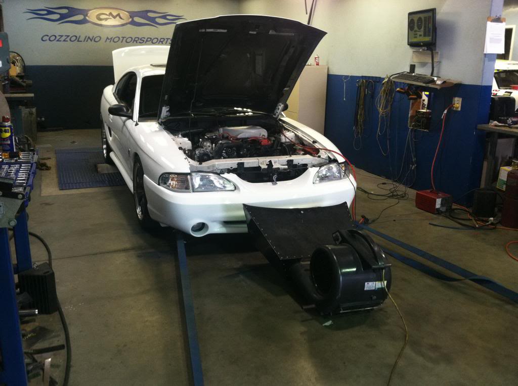 Name:  IMG_3868_zps1b96784a.jpg
Views: 149
Size:  81.7 KB