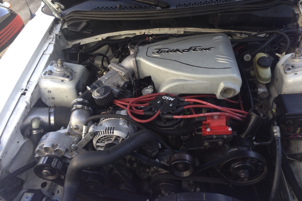 Name:  IMG_38991_zps7fadec51.jpg
Views: 101
Size:  191.9 KB