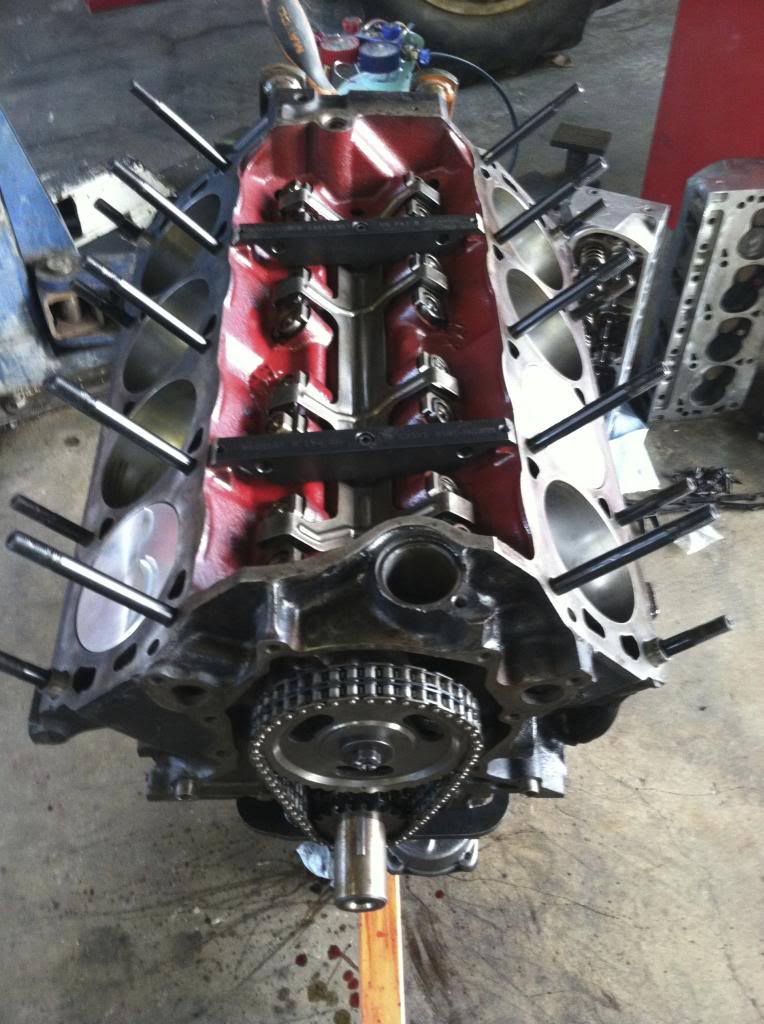 Name:  IMG_3850_zps1c881696.jpg
Views: 67
Size:  111.3 KB