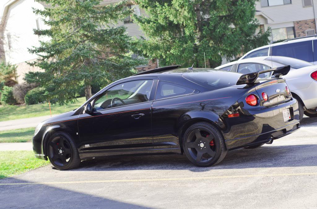 Name:  DSC_0722_zps6bec1ae7.jpg
Views: 253
Size:  118.4 KB