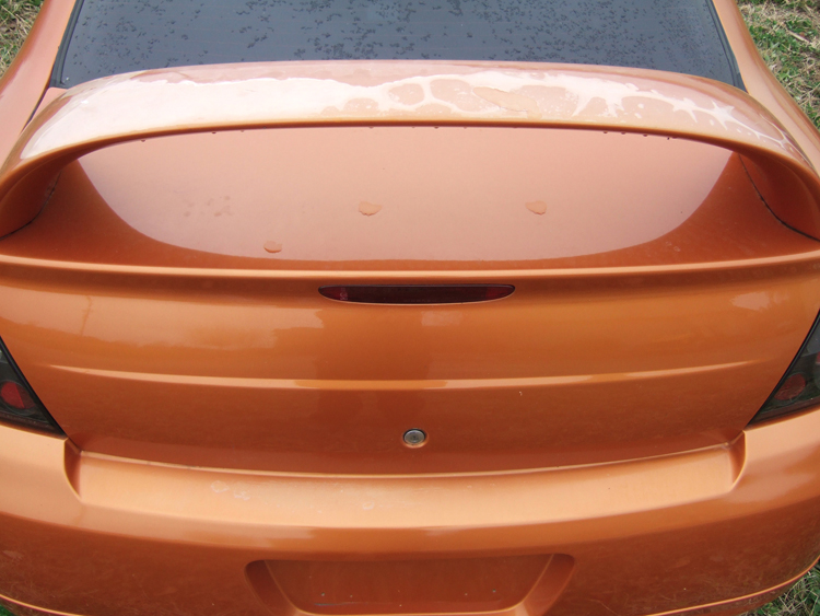 Name:  back_zpscfd29d81.jpg
Views: 45
Size:  288.9 KB