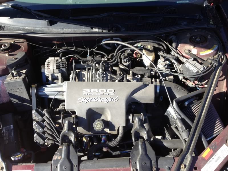 Name:  photo-15.jpg
Views: 22
Size:  118.5 KB