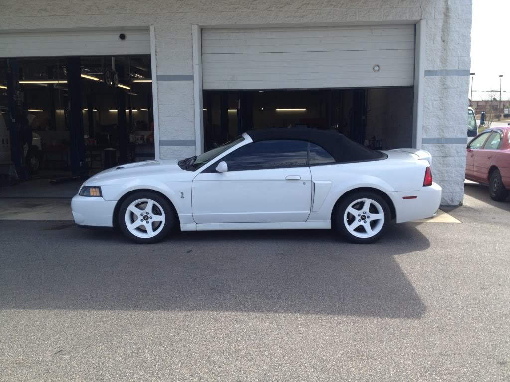 Name:  E18B8EC0-3F64-4D3D-91CC-E0C65C56DA72-9725-000009F62A465FB1_zpsab570f3f.jpg
Views: 17
Size:  155.5 KB