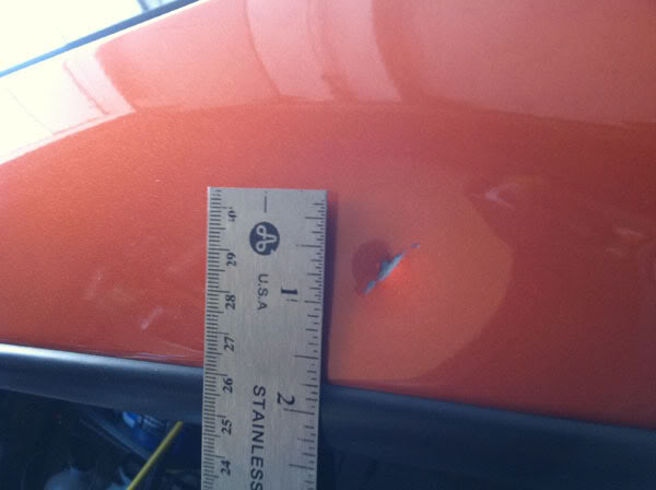 Name:  2005_ss_sc_07.jpg
Views: 46
Size:  25.9 KB