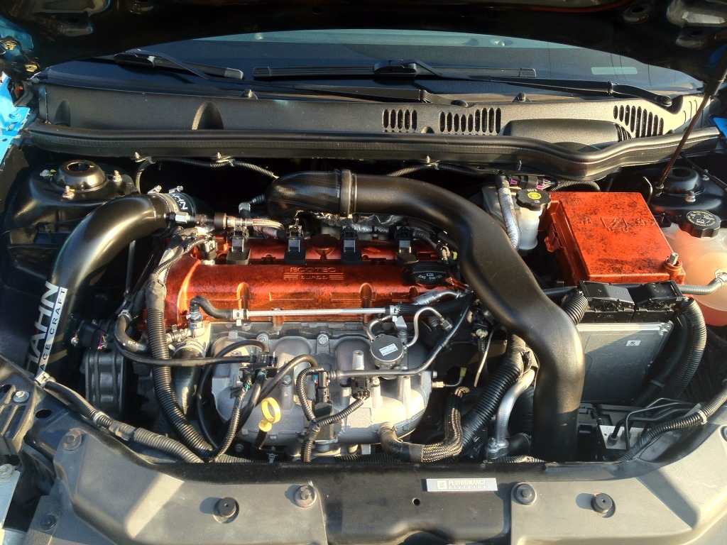 Name:  IMG_2559.jpg
Views: 202
Size:  268.2 KB