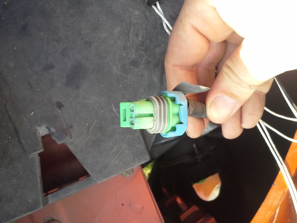 Name:  20130803_181144_zpsc34569e2.jpg
Views: 69
Size:  67.2 KB