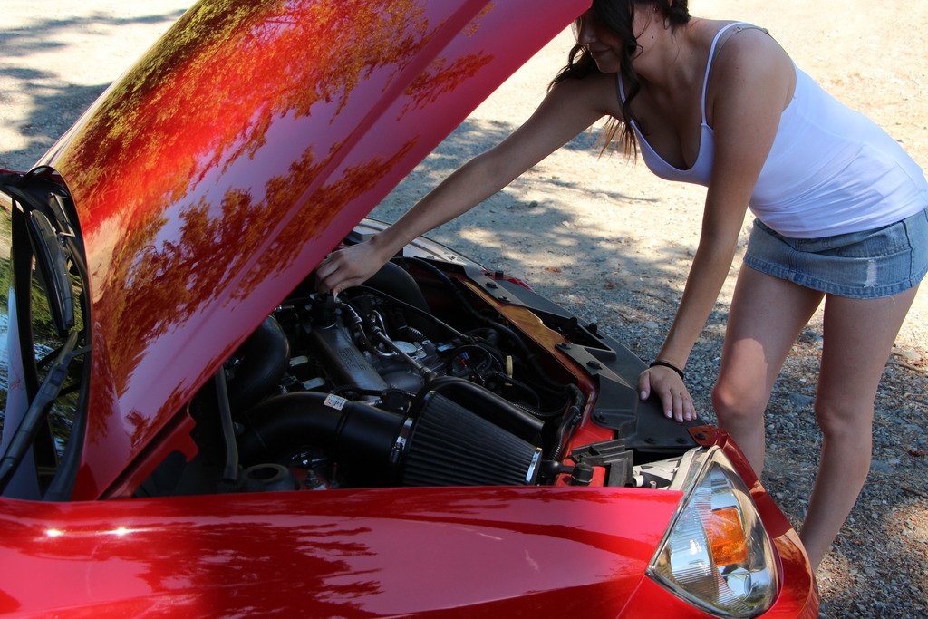 Name:  IMG_1911_zpsbbjnlfju.jpg
Views: 4167
Size:  274.6 KB