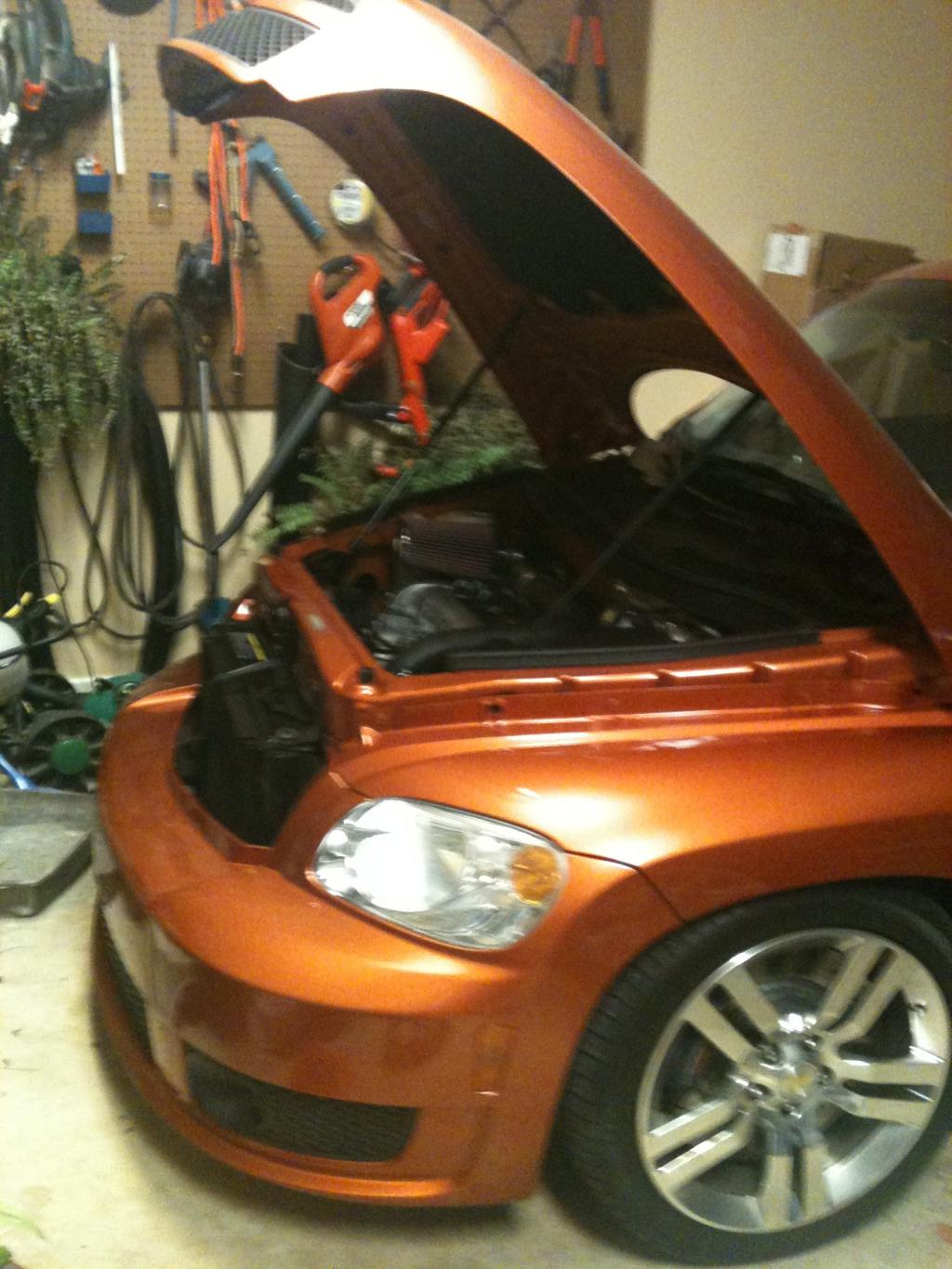 Name:  photo%201.jpg
Views: 143
Size:  160.6 KB