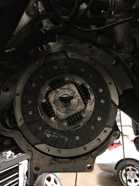 Name:  IMG_5226_zps0cfmeecb.jpg
Views: 108
Size:  92.1 KB