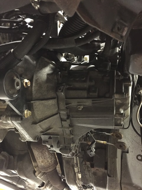 Name:  IMG_5233_zpsntgx6jew.jpg
Views: 108
Size:  97.4 KB