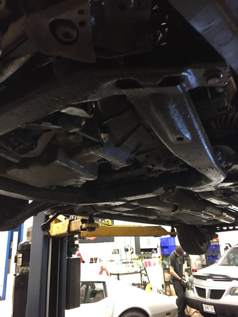 Name:  IMG_5235_zps6ebxe9uh.jpg
Views: 104
Size:  89.9 KB