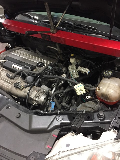 Name:  IMG_5208_zpskry4tqt2.jpg
Views: 100
Size:  110.9 KB