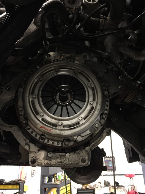 Name:  IMG_5216_zpsxdsa9utm.jpg
Views: 103
Size:  97.2 KB