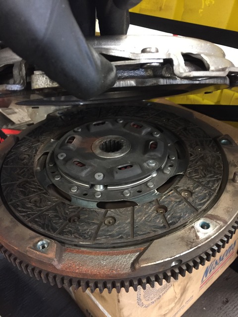 Name:  IMG_5219_zpsu0zwi5fh.jpg
Views: 119
Size:  103.2 KB