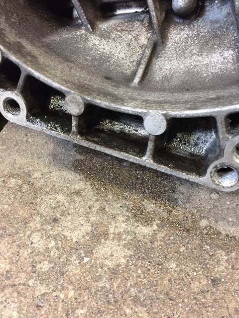 Name:  IMG_5224_zpslulmrugl.jpg
Views: 113
Size:  160.9 KB