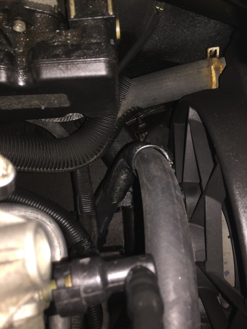 Name:  IMG_5007_zps1n4jyrbx.jpg
Views: 164
Size:  80.1 KB