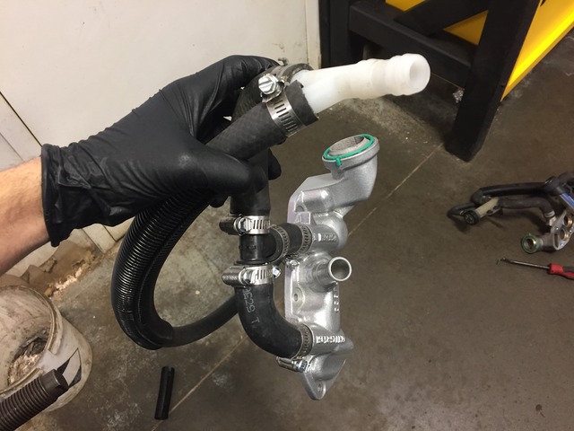 Name:  IMG_4982_zpsijds9rhc.jpg
Views: 171
Size:  84.2 KB