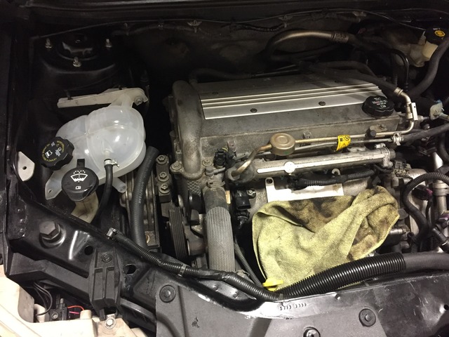 Name:  IMG_4995_zpsbusa5gom.jpg
Views: 135
Size:  114.1 KB