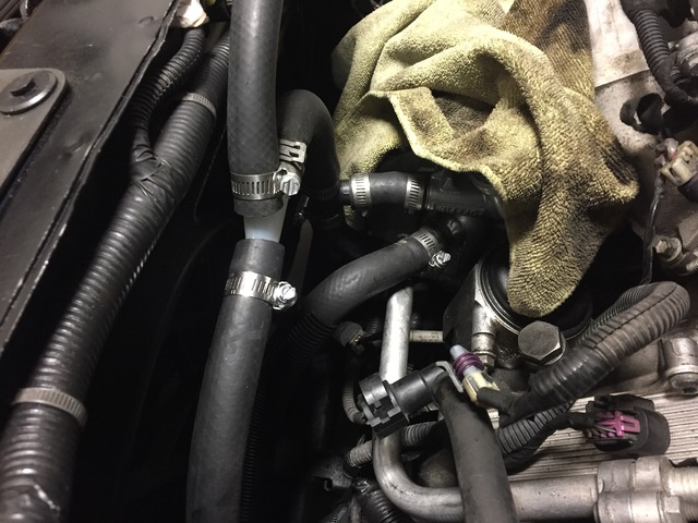 Name:  IMG_4997_zpsgmsyxjwp.jpg
Views: 152
Size:  110.3 KB