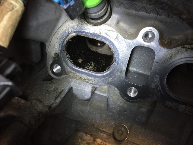 Name:  IMG_4964_zpsb7gjsbpg.jpg
Views: 190
Size:  94.3 KB