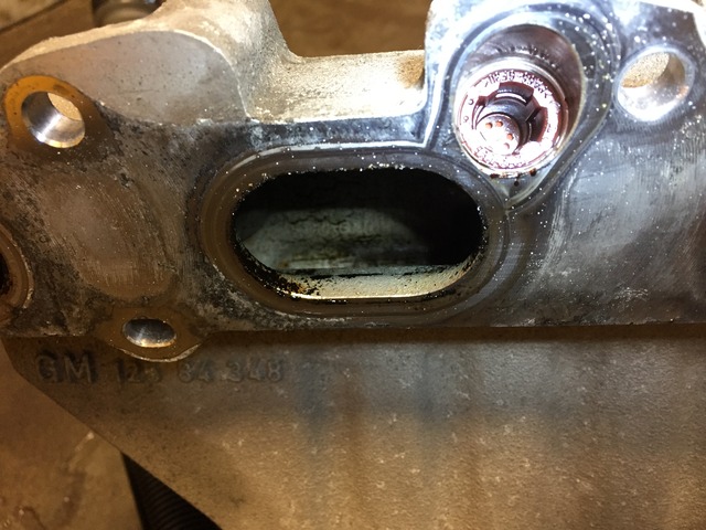 Name:  IMG_4967_zpsvw8ufzze.jpg
Views: 131
Size:  108.2 KB