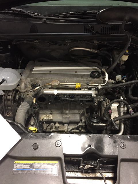 Name:  IMG_4971_zpsg4cdc8ll.jpg
Views: 165
Size:  105.3 KB