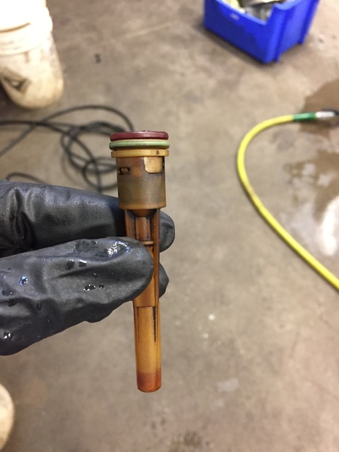 Name:  IMG_4974_zpska9piluz.jpg
Views: 185
Size:  69.7 KB