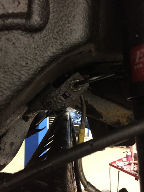 Name:  IMG_4937_zps7tjjepk9.jpg
Views: 175
Size:  77.8 KB