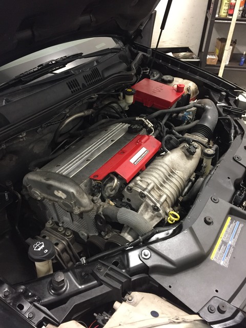 Name:  IMG_4947_zpspur4rjua.jpg
Views: 219
Size:  116.2 KB