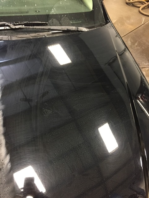 Name:  IMG_4492_zpsi6v1nqms.jpeg
Views: 155
Size:  97.8 KB