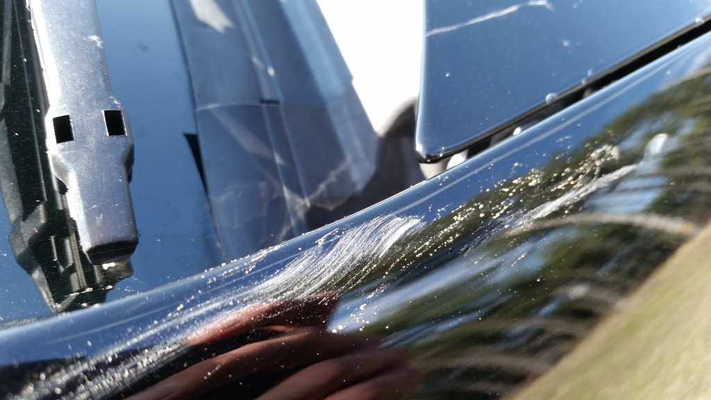 Name:  20160327_160552_zpswzqsf58t.jpg
Views: 68
Size:  224.5 KB