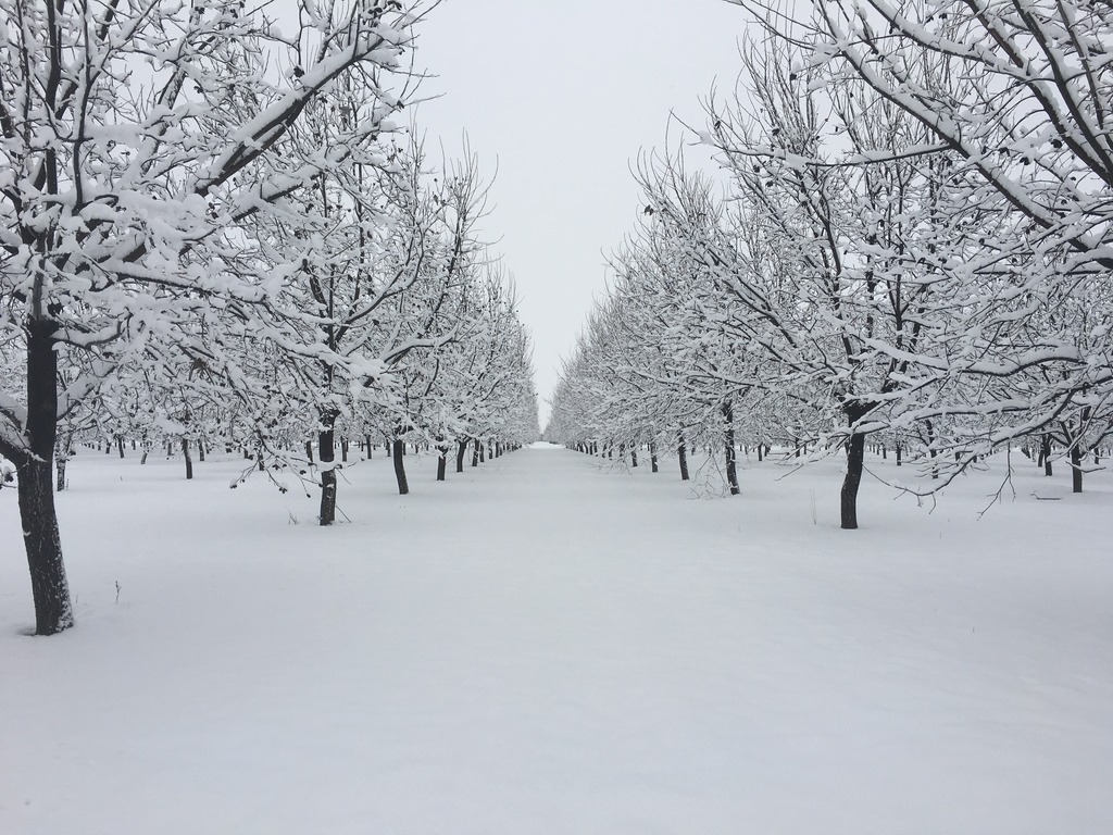 Name:  4261C8C0-C8E8-4343-8DA9-A2EEA2188BA6_zpsbn4cm5l2.jpg
Views: 29
Size:  269.3 KB