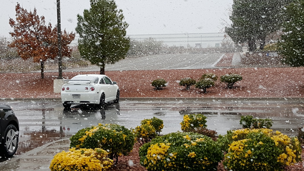 Name:  20151226_140639.jpg
Views: 37
Size:  341.1 KB