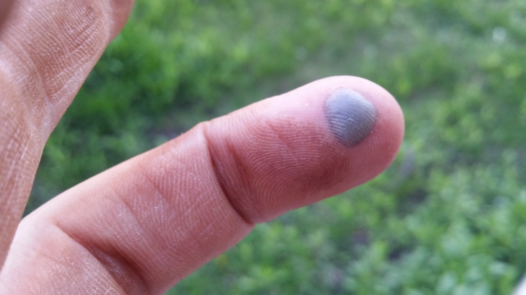 Name:  20150502_190004_zpsfffeo1qn.jpg
Views: 45
Size:  164.5 KB