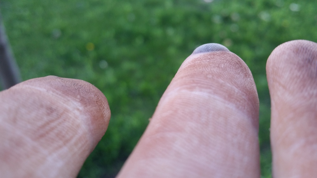 Name:  20150502_190023_zpsolb5qehs.jpg
Views: 40
Size:  141.6 KB