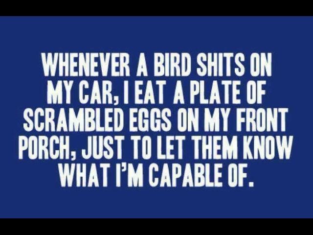 Name:  imagejpeg_2_7_zps66b08d14.jpg
Views: 155
Size:  43.5 KB