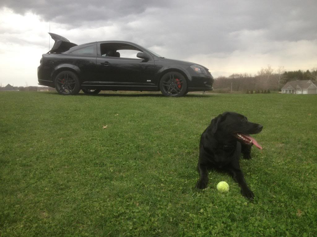 Name:  PaintedCaliperswTitan_zps6bb43bab.jpg
Views: 61
Size:  91.1 KB