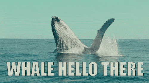 Name: tumblr_mhicndzCOj1rj1483o1_500_zps478bbf1e.gif
Views: 13
Size: 832.6 KB
